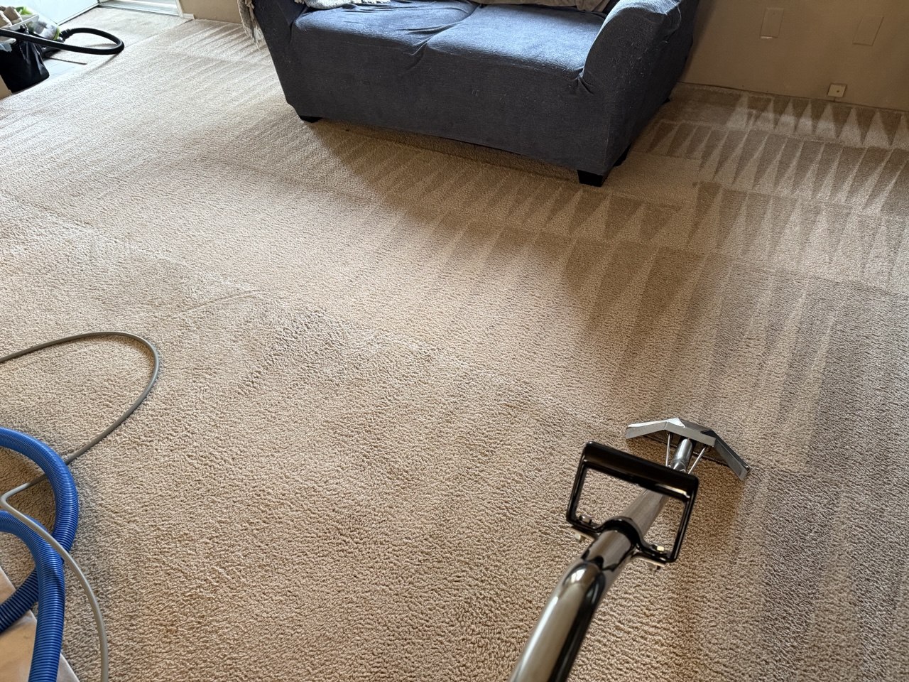 After carpet cleaning results Tacoma WA