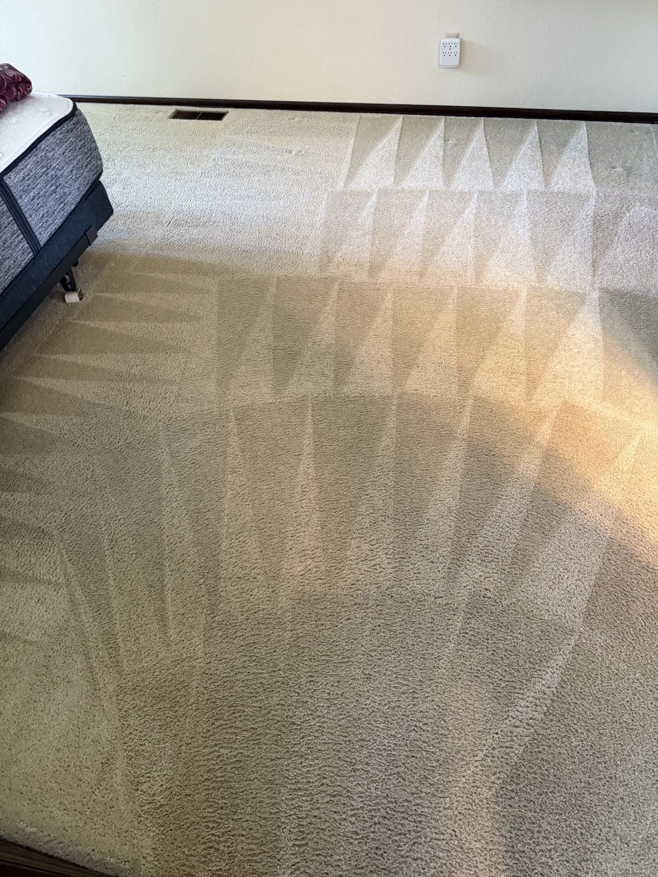 After carpet cleaning results Tacoma WA