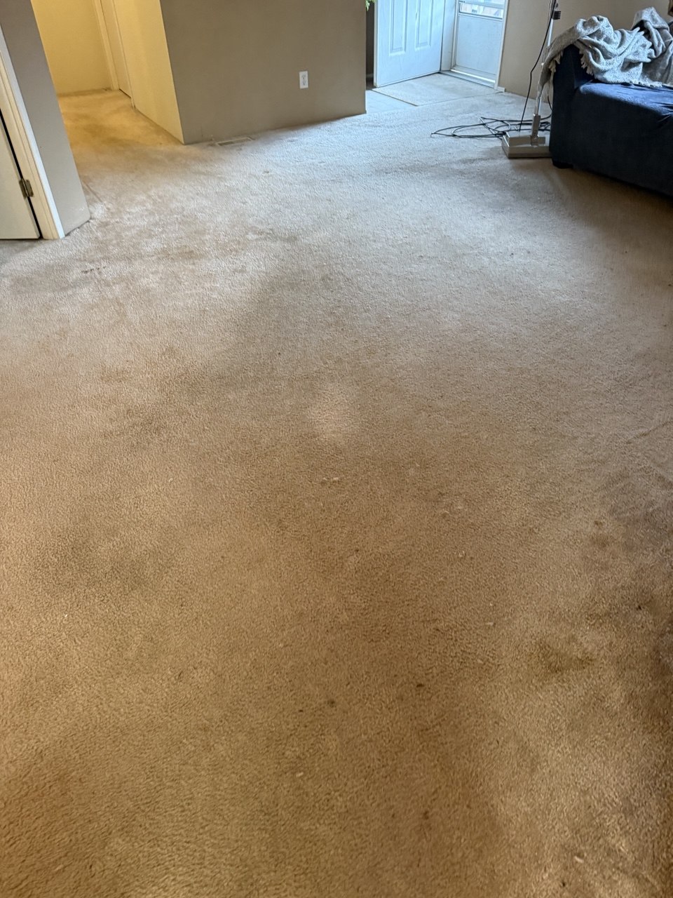 Before carpet cleaning Tacoma WA