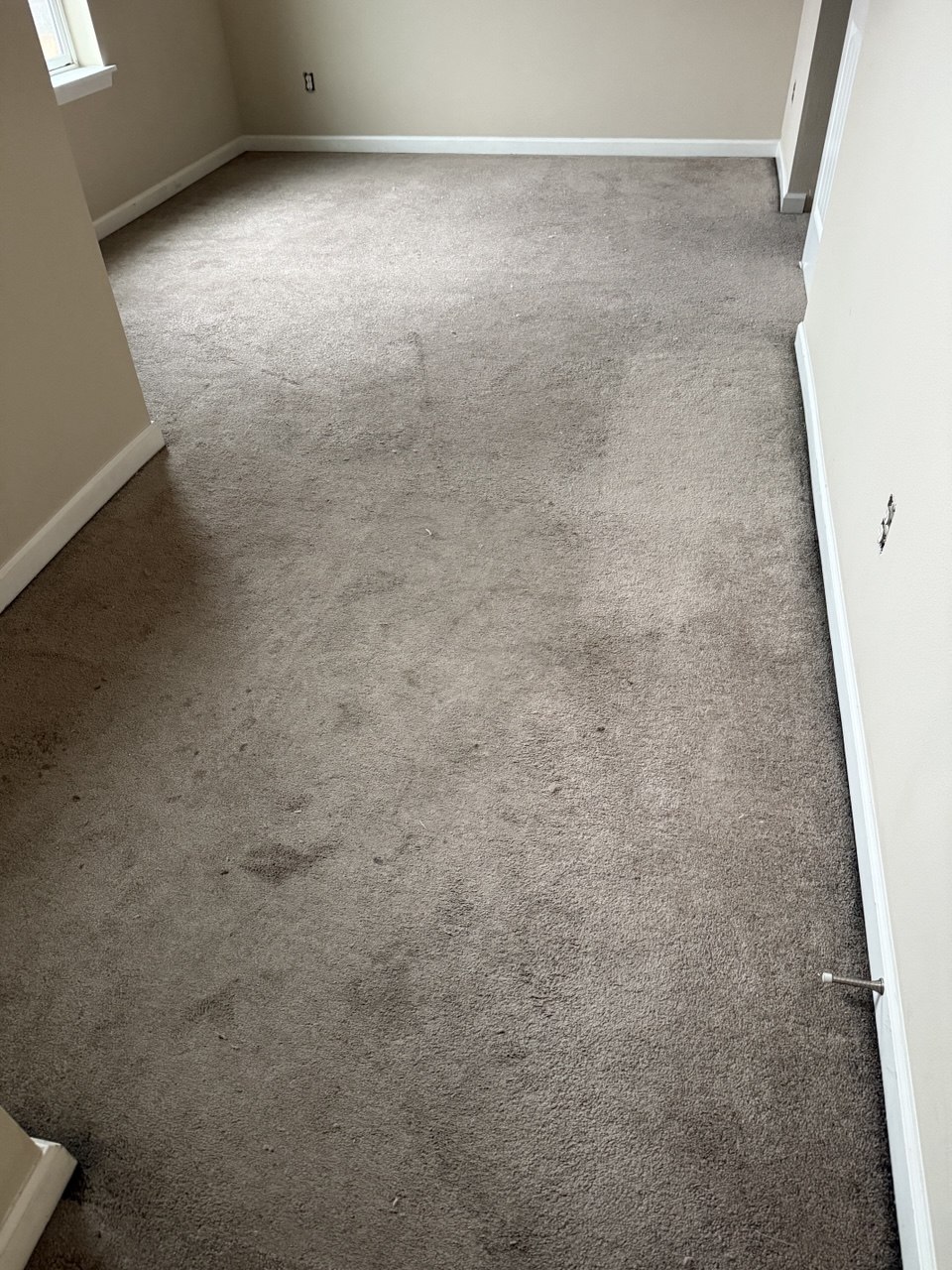 Before carpet cleaning Tacoma WA